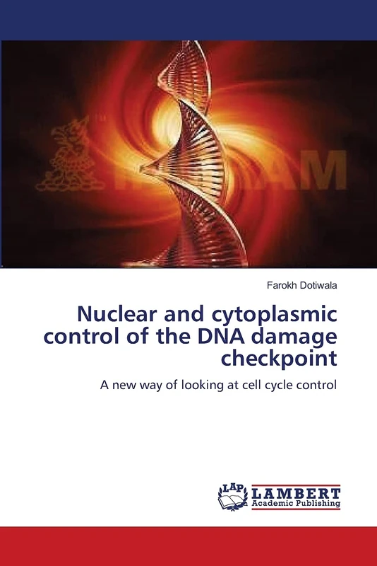 Nuclear and cytoplasmic control of the DNA damage checkpoint: A new way of looking at cell cycle control - Image 1