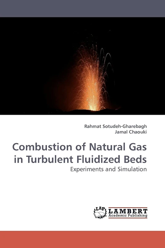 Natural Gas Combustion in Turbulent Fluidized Beds - Research