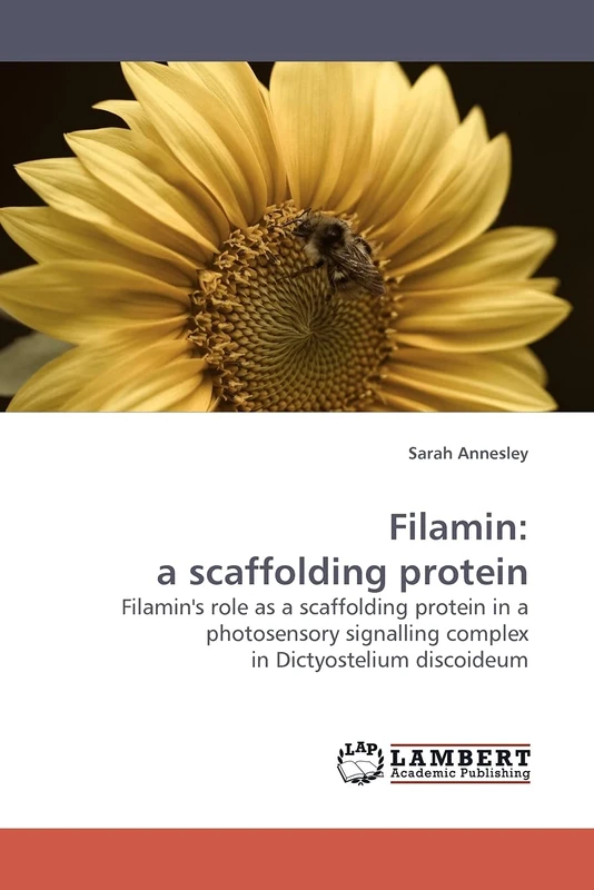 Filamin: a scaffolding protein: Filamin's role as a scaffolding protein in a photosensory signalling complex in Dictyostelium discoideum