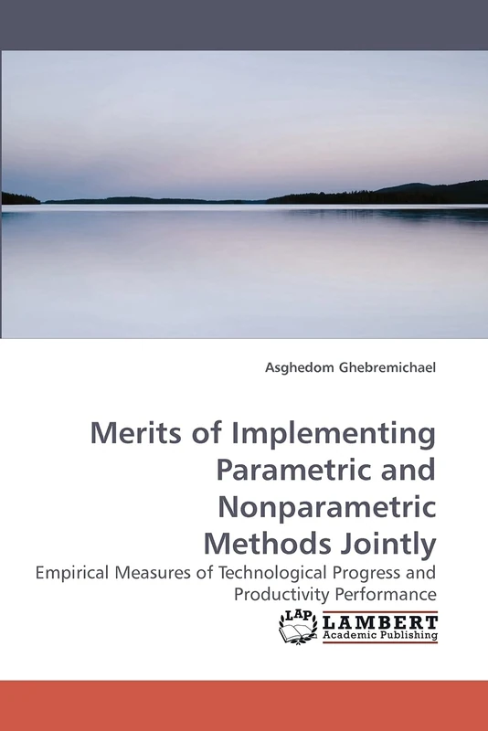 Merits of Implementing Parametric and Nonparametric Methods Jointly: Empirical Measures of Technological Progress and Productivity Performance