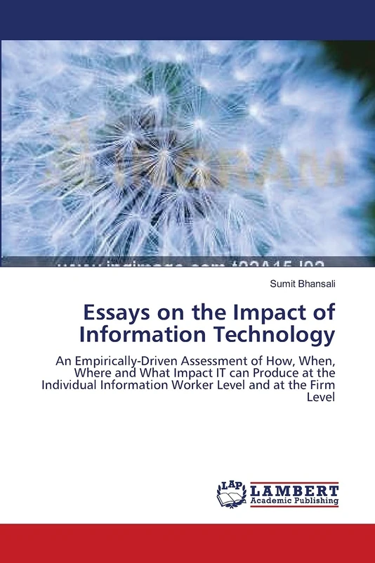 Essays on the Impact of Information Technology: An Empirically-Driven Assessment of How, When, Where and What Impact IT can Produce at the Individual Information Worker Level and at the Firm Level