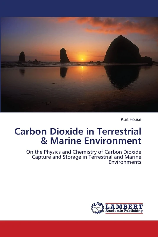 Carbon Dioxide in Terrestrial: On the Physics and Chemistry of Carbon Dioxide Capture and Storage in Terrestrial and Marine Environments