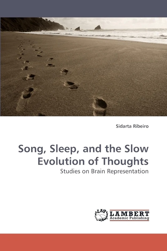 Song, Sleep, and the Slow Evolution of Thoughts: Studies on Brain Representation