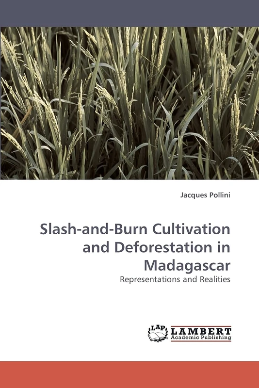 Slash-and-Burn Cultivation and Deforestation in Madagascar: Representations and Realities - Image 1