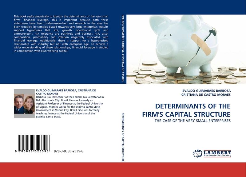 DETERMINANTS OF THE FIRM'S CAPITAL STRUCTURE: THE CASE OF THE VERY SMALL ENTERPRISES