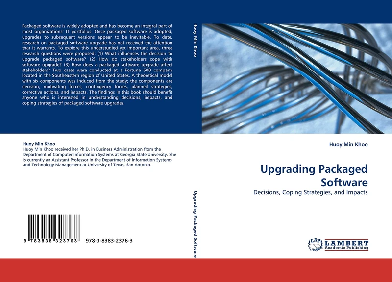 Upgrading Packaged Software: Decisions, Coping Strategies, and Impacts