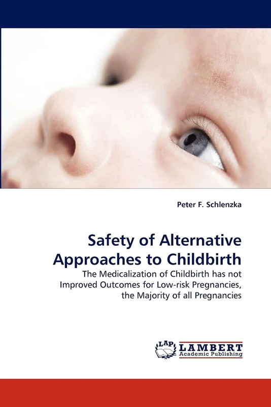 Safety of Alternative Approaches to Childbirth: The Medicalization of Childbirth has not Improved Outcomes for Low-risk Pregnancies, the Majority of all Pregnancies