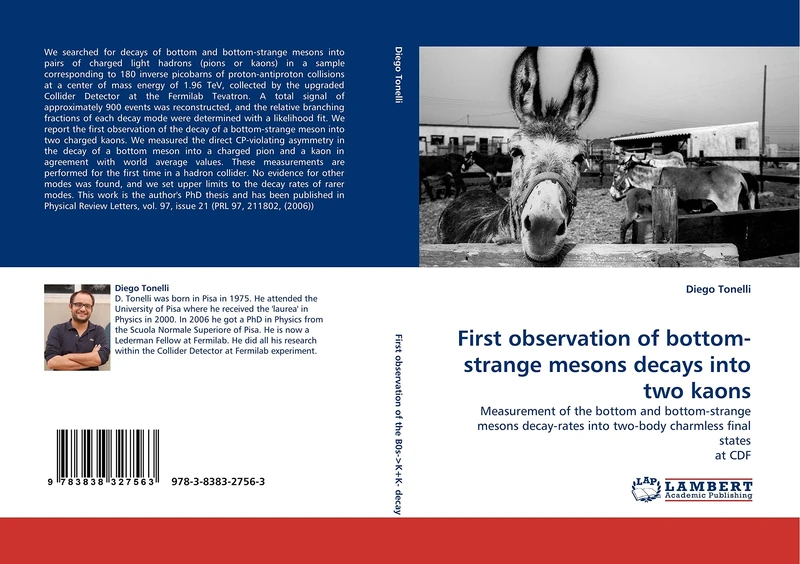 First observation of bottom-strange mesons decays into two kaons: Measurement of the bottom and bottom-strange mesons decay-rates into two-body charmless final states at CDF