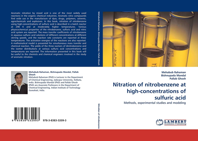 Nitration of nitrobenzene at high-concentrations of sulfuric acid: Methods, experimental studies and modeling