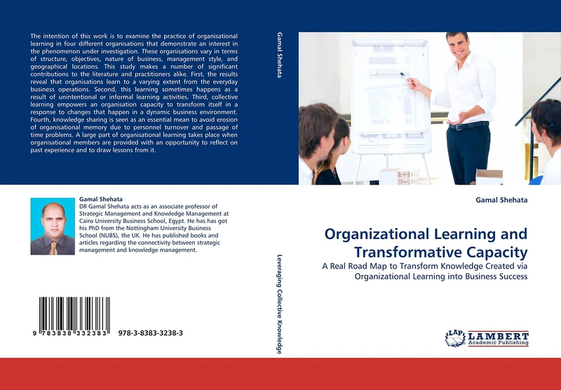 Organizational Learning and Transformative Capacity: A Real Road Map to Transform Knowledge Created via Organizational Learning into Business Success