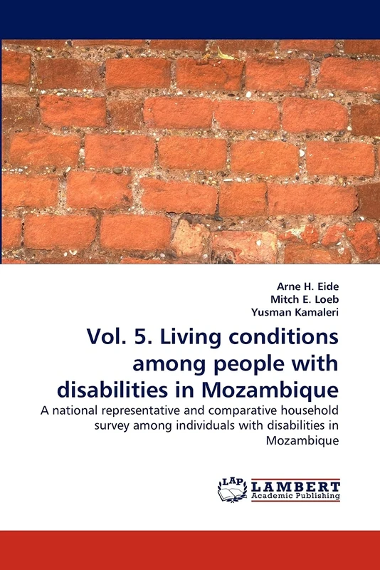 Vol. 5. Living conditions among people with disabilities in Mozambique: A national representative and comparative household survey among individuals with disabilities in Mozambique - Image 1