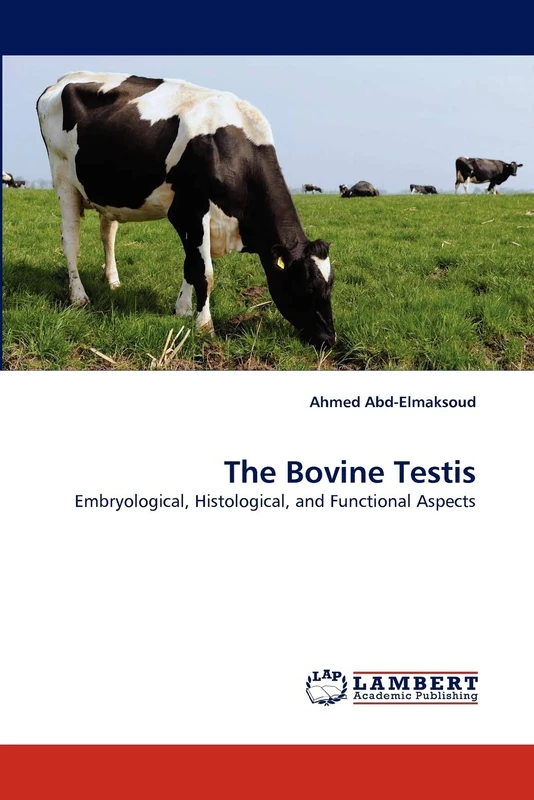 The Bovine Testis: Embryological, Histological, and Functional Aspects