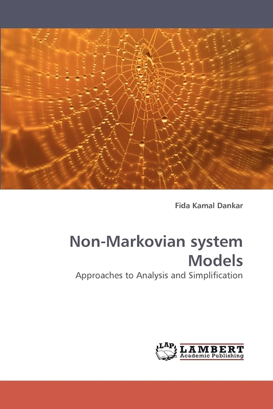 Non-Markovian system Models: Approaches to Analysis and Simplification