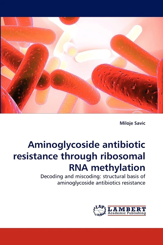 Aminoglycoside antibiotic resistance through ribosomal RNA methylation: Decoding and miscoding: structural basis of aminoglycoside antibiotics resistance - Image 1