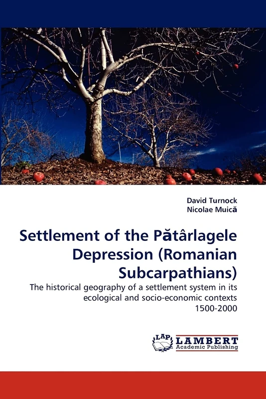 Settlement of the Patarlagele Depression (Romanian Subcarpathians): The historical geography of a settlement system in its ecological and socio-economic contexts 1500-2000