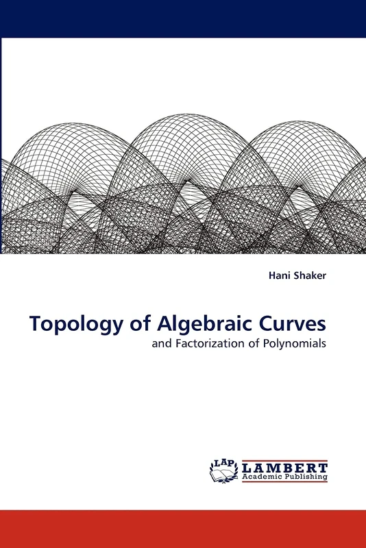 Topology of Algebraic Curves: and Factorization of Polynomials