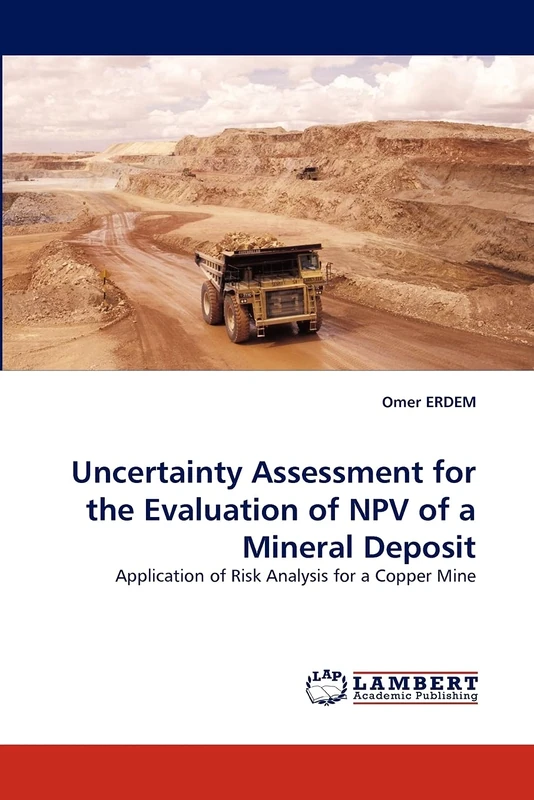 Uncertainty Assessment for the Evaluation of NPV of a Mineral Deposit: Application of Risk Analysis for a Copper Mine
