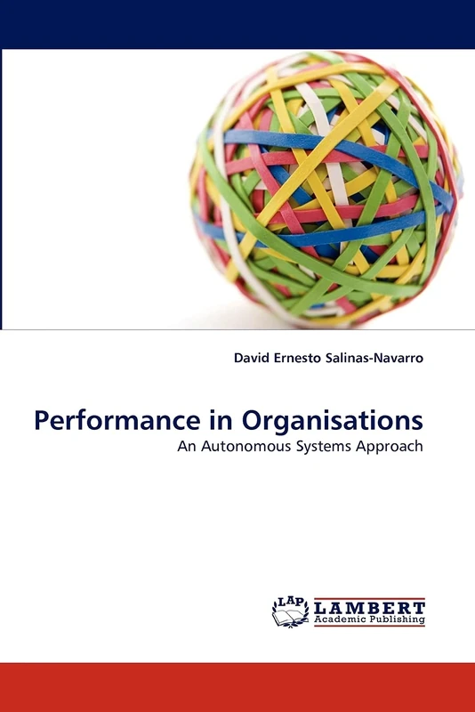 Performance in Organisations: An Autonomous Systems Approach