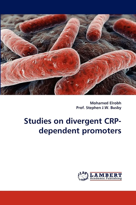 Studies on divergent CRP-dependent promoters
