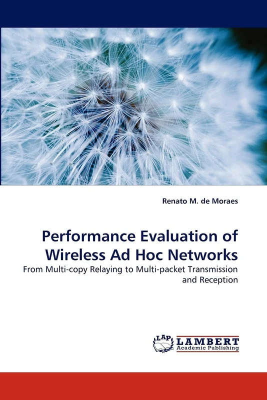 Performance Evaluation of Wireless Ad Hoc Networks: From Multi-copy Relaying to Multi-packet Transmission and Reception