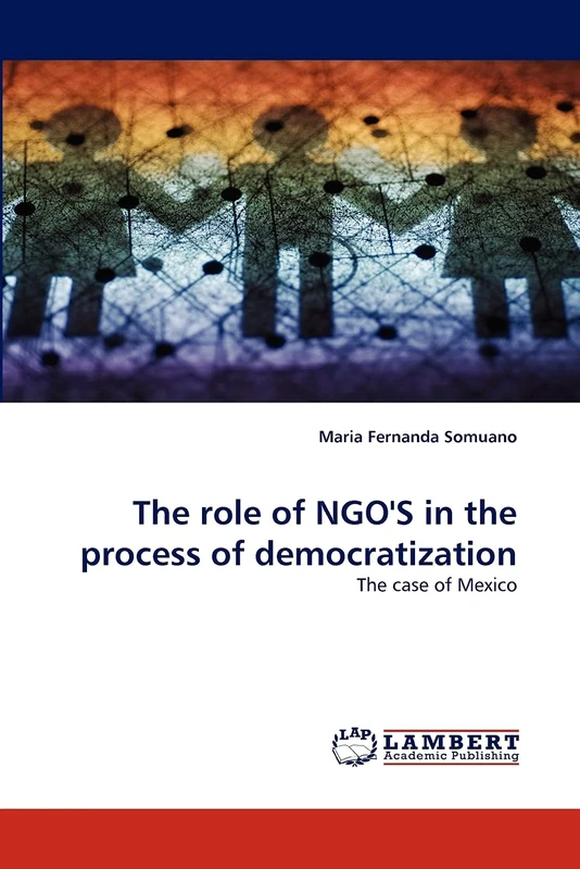 The role of NGO'S in the process of democratization: The case of Mexico
