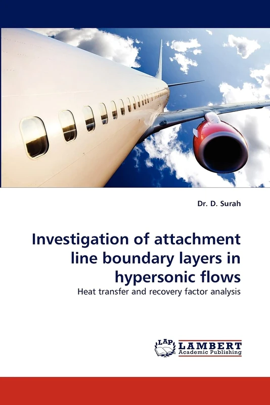 Investigation of attachment line boundary layers in hypersonic flows: Heat transfer and recovery factor analysis