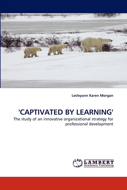 'CAPTIVATED BY LEARNING': The study of an innovative organizational strategy for professional development - Image 1