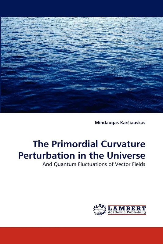 The Primordial Curvature Perturbation in the Universe: And Quantum Fluctuations of Vector Fields