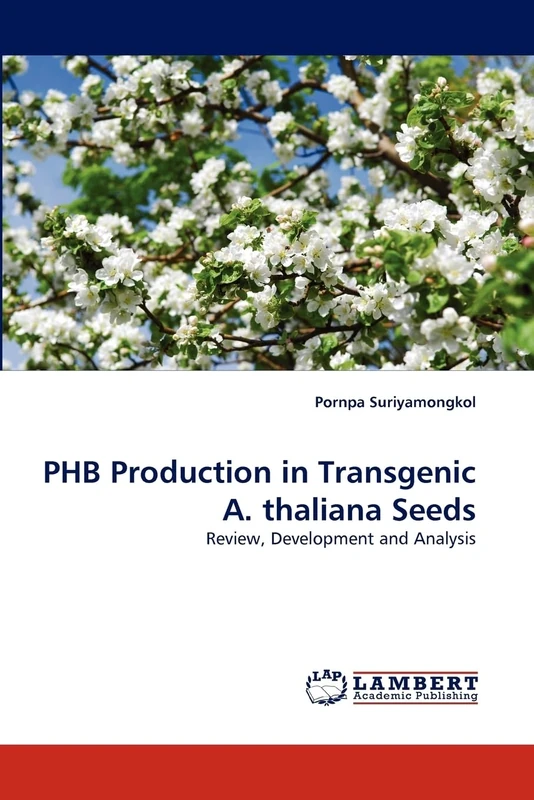 PHB Production in Transgenic A. thaliana Seeds: Review, Development and Analysis