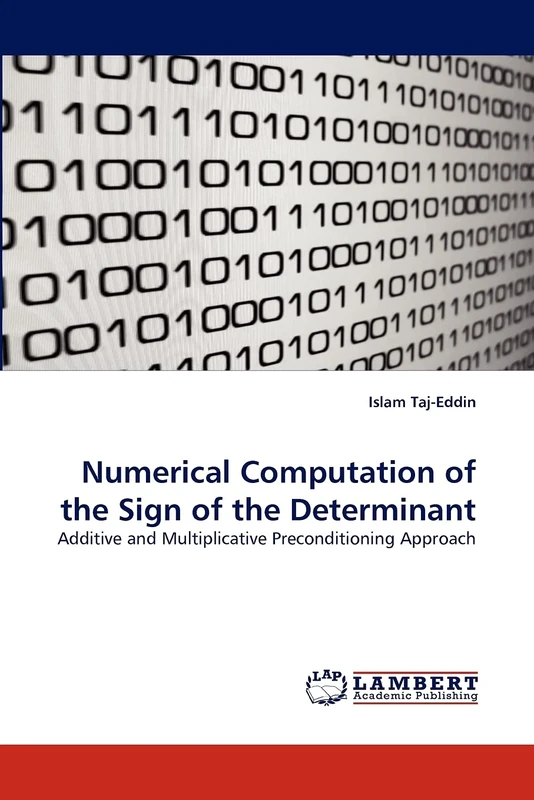 Numerical Computation of the Sign of the Determinant: Additive and Multiplicative Preconditioning Approach - Image 1