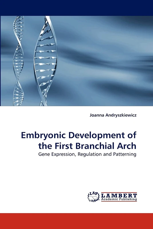 Embryonic Development of the First Branchial Arch: Gene Expression, Regulation and Patterning