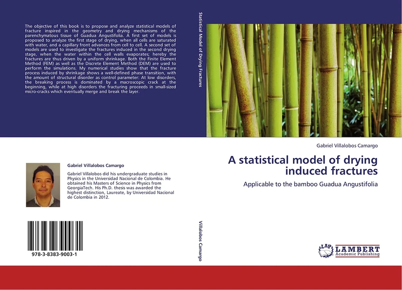 A statistical model of drying induced fractures: Applicable to the bamboo Guadua Angustifolia - Image 1