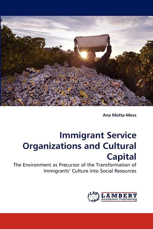 Immigrant Service Organizations and Cultural Capital: The Environment as Precursor of the Transformation of Immigrants' Culture into Social Resources
