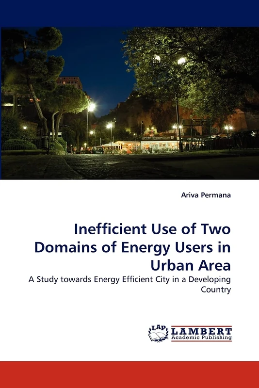 Inefficient Use of Two Domains of Energy Users in Urban Area: A Study towards Energy Efficient City in a Developing Country