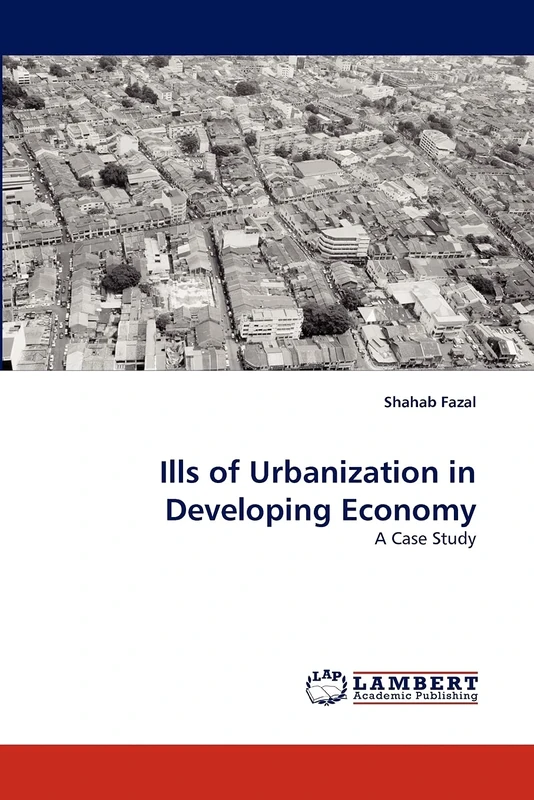 Ills of Urbanization in Developing Economy: A Case Study - Image 1
