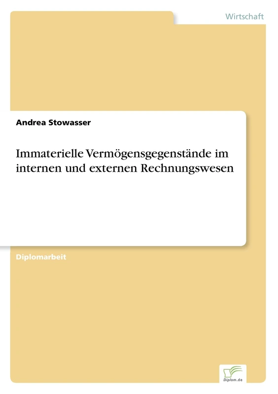 Immaterielle Vermögensgegenstände im internen und externen Rechnungswesen