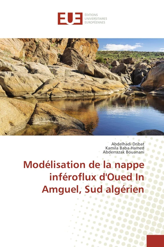 Modélisation de la nappe inféroflux d'Oued In Amguel, Sud algérien