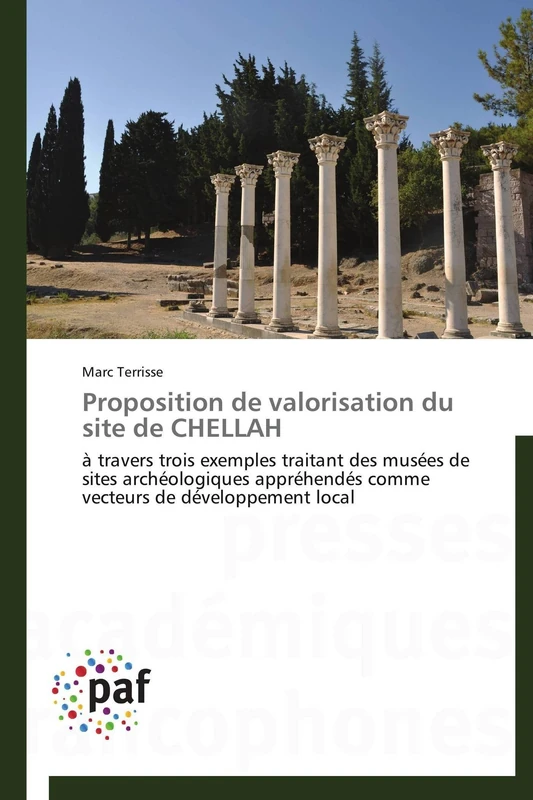 Proposition de valorisation du site de CHELLAH: à travers trois exemples traitant des musées de sites archéologiques appréhendés comme vecteurs de développement local (Omn.Pres.Franc.) - Image 1