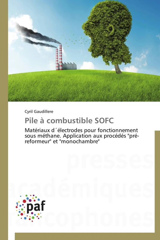 Pile à combustible SOFC: Matériaux d´électrodes pour fonctionnement sous méthane. Application aux procédés "pré-reformeur" et "monochambre" (Omn.Pres.Franc.) - Image 1