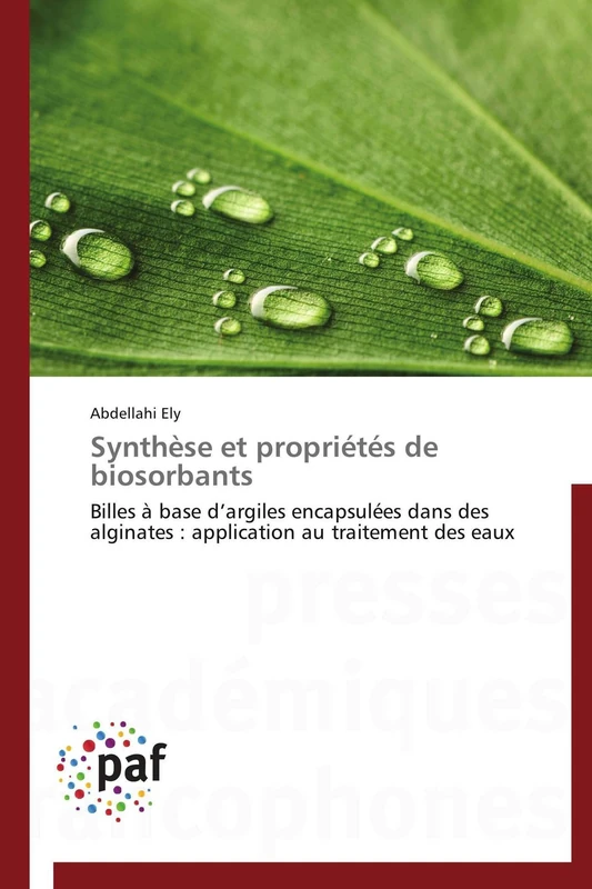Synthèse et propriétés de biosorbants: Billes à base d’argiles encapsulées dans des alginates : application au traitement des eaux (Omn.Pres.Franc.)