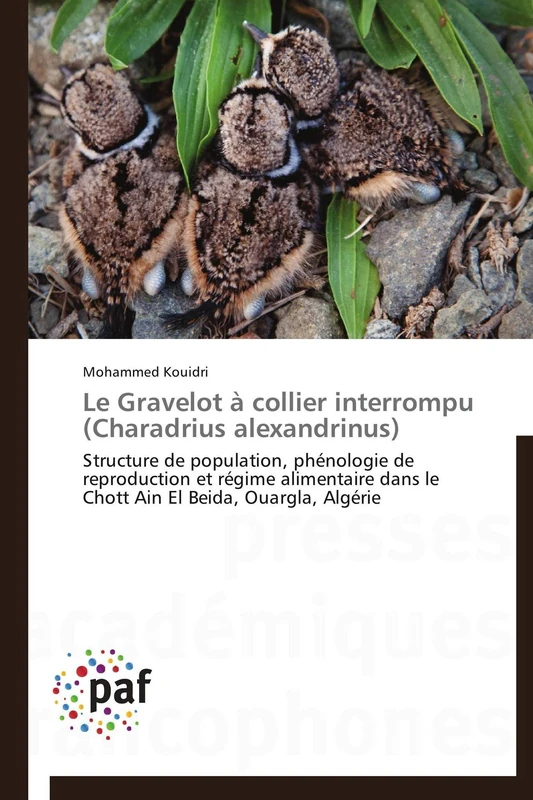 Le Gravelot à collier interrompu (Charadrius alexandrinus): Structure de population, phénologie de reproduction et régime alimentaire dans le Chott Ain El Beida, Ouargla, Algérie (Omn.Pres.Franc.)
