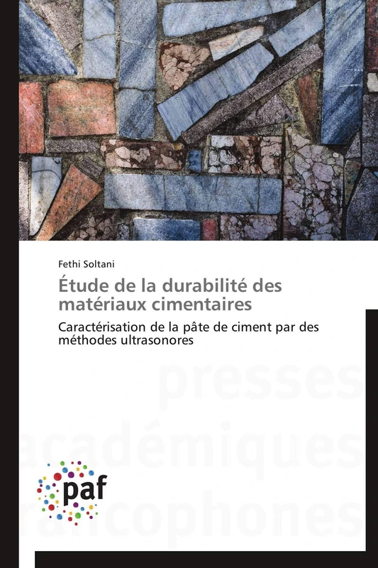 Étude de la durabilité des matériaux cimentaires: Caractérisation de la pâte de ciment par des méthodes ultrasonores - Image 1