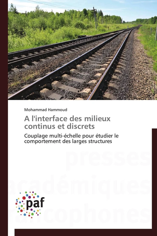 A l'interface des milieux continus et discrets: Couplage multi-échelle pour étudier le comportement des larges structures (Omn.Pres.Franc.)