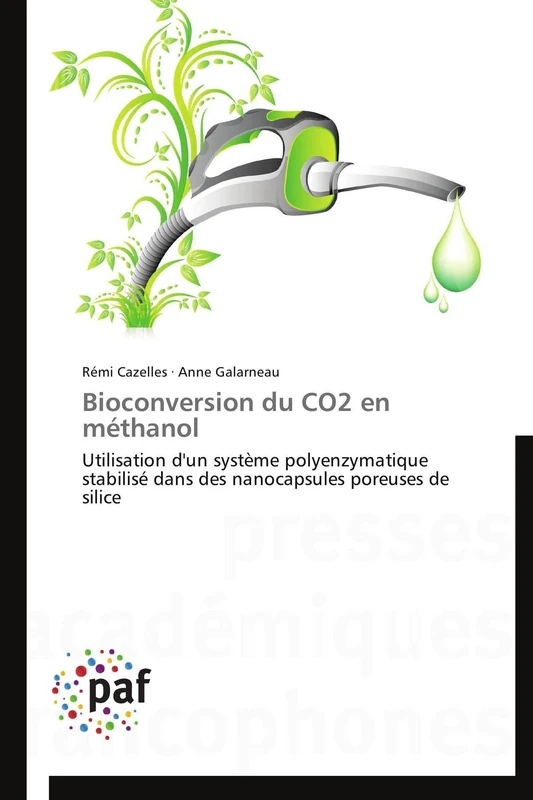 Bioconversion du CO2 en méthanol: Utilisation d'un système polyenzymatique stabilisé dans des nanocapsules poreuses de silice (Omn.Pres.Franc.)