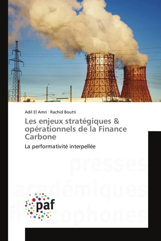 Les enjeux stratégiques & opérationnels de la Finance Carbone: La performativité interpellée