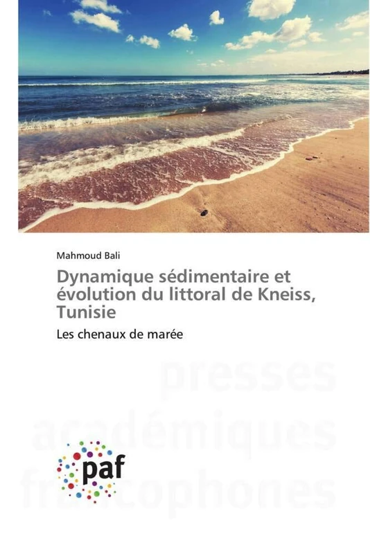Dynamique sédimentaire et évolution du littoral de Kneiss, Tunisie: Les chenaux de marée - Image 1