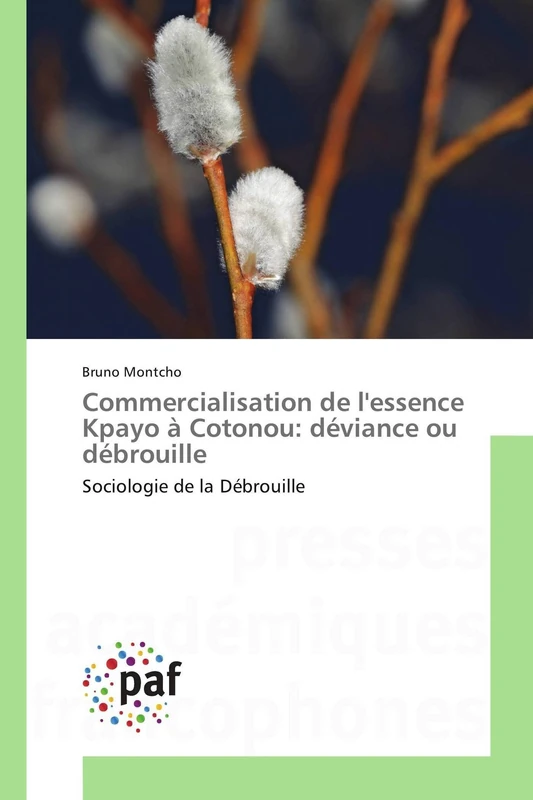 Commercialisation de l'essence Kpayo à Cotonou: déviance ou débrouille: Sociologie de la Débrouille (Omn.Pres.Franc.) - Image 1