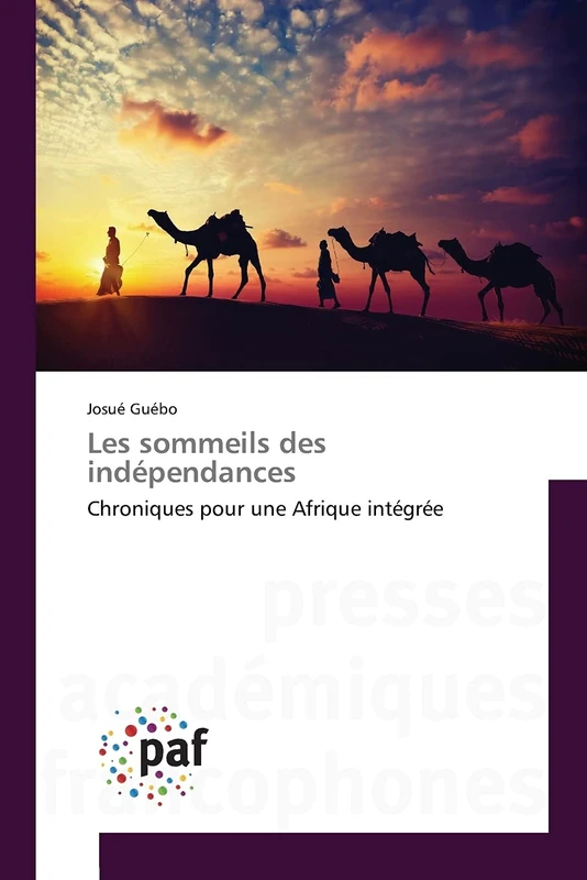 Les sommeils des indépendances: Chroniques pour une Afrique intégrée