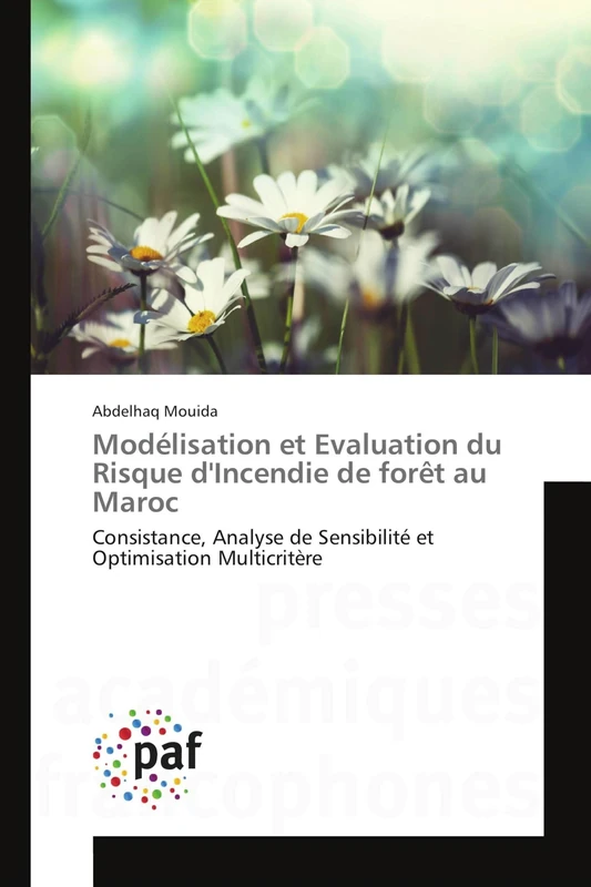 Modélisation et Evaluation du Risque d'Incendie de forêt au Maroc: Consistance, Analyse de Sensibilité et Optimisation Multicritère - Image 1