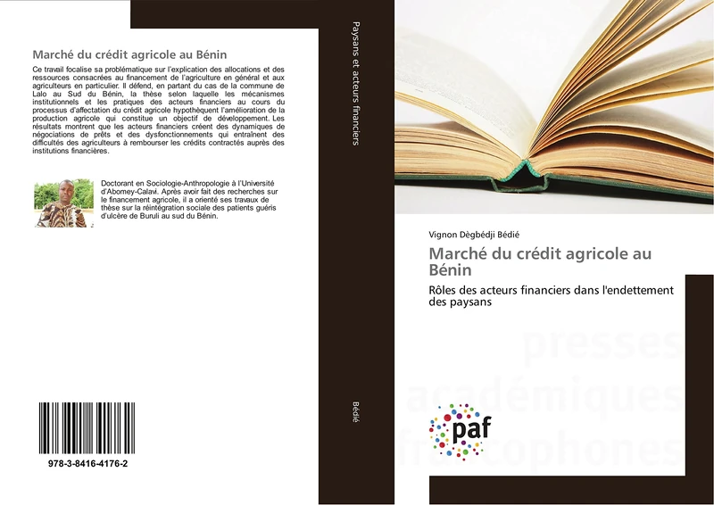 Marché du crédit agricole au Bénin: Rôles des acteurs financiers dans l'endettement des paysans - Image 1